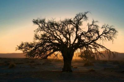Scenic view of landscape at sunset