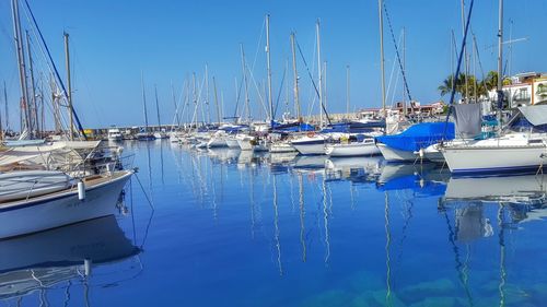 Boats in harbor