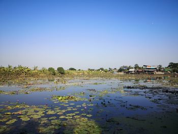 Scenic view of lake against clear sky