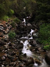 Stream flowing through rocks in forest