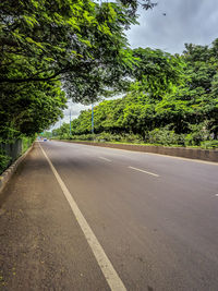 Empty road along trees and plants