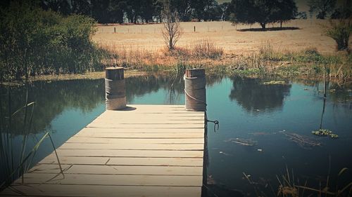 Reflection of trees in water