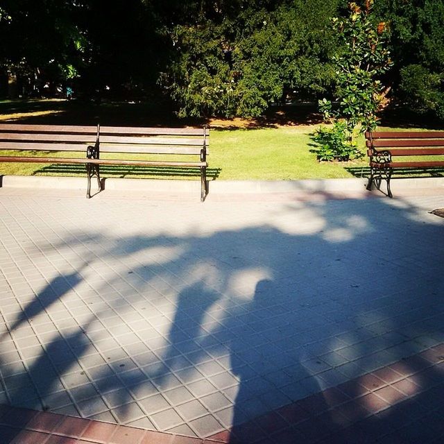 tree, lifestyles, leisure activity, shadow, men, person, bench, park - man made space, sunlight, walking, silhouette, growth, footpath, outdoors, nature, park bench, standing, day