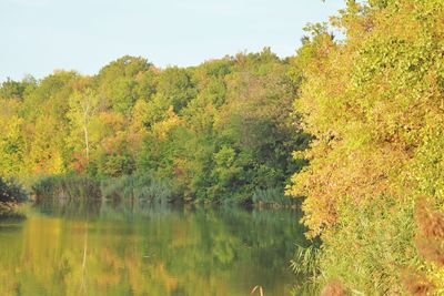 Scenic view of lake in forest during autumn