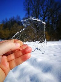 Close-up of hand holding ice cream against trees during winter