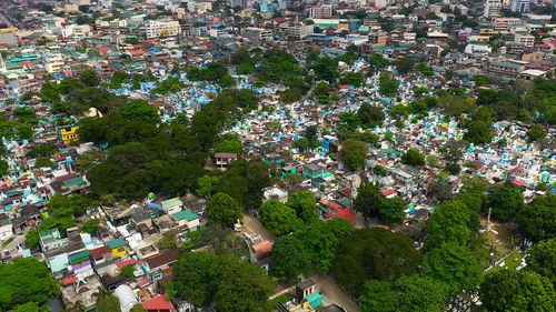 High angle view of tree with buildings in background