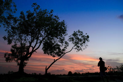 Silhouette man standing by tree against sky during sunset