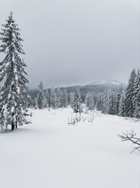 snow