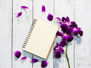 Close-up of purple flowers on table