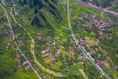 High angle view of trees growing on field