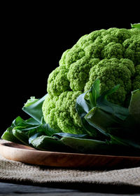 High angle view of vegetables against black background