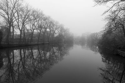 Reflection of trees in water