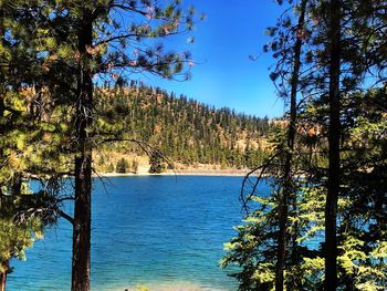 Scenic view of lake against blue sky