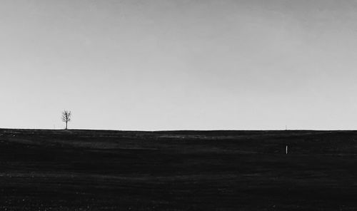 Scenic view of field against clear sky