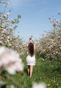 Spring concept. nature. young caucasian woman in white summer dress enjoying the flowering of 