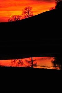 Silhouette trees against sky during sunset