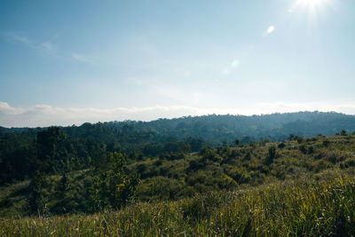 Scenic view of landscape against sky