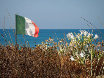 Scenic view of sea against clear sky