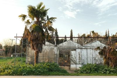 Built structure with trees in foreground