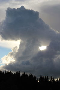 Low angle view of silhouette trees against sky during sunset