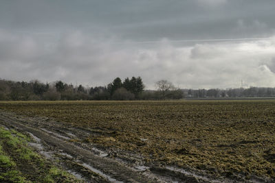 Scenic view of field against sky