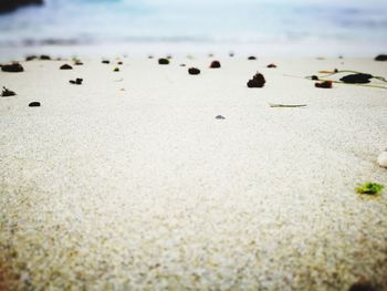 Close-up of sand on beach against sky