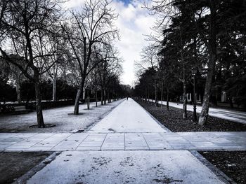 Road amidst trees in park against sky during winter
