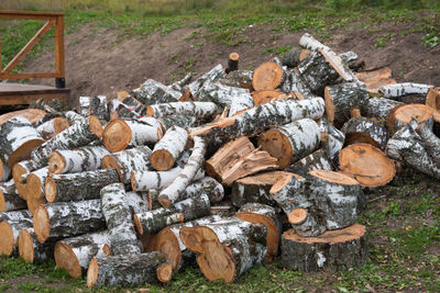 Stack of logs in forest