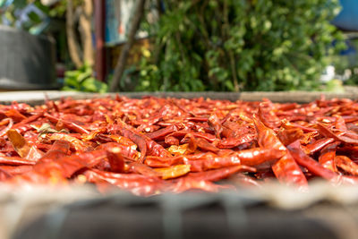 Close-up of red chili peppers for sale in market