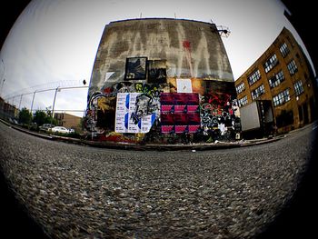 View of tree against sky