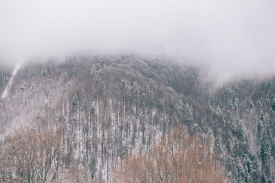Scenic view of tree mountains against sky