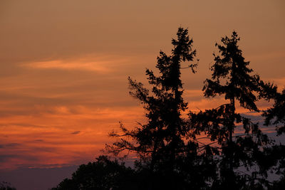 Low angle view of silhouette tree against sky during sunset