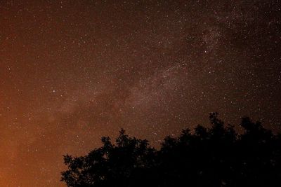 Low angle view of star field against star field