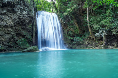 Scenic view of waterfall in forest