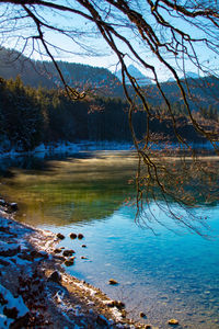 Scenic view of lake in forest against sky