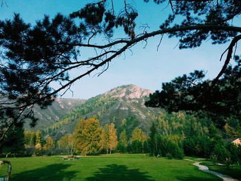 Scenic view of tree mountains against sky