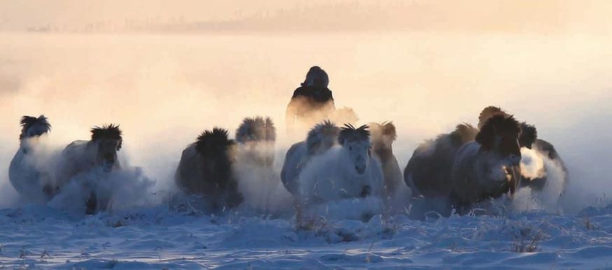 winter, water, cold temperature, snow, animal themes, beauty in nature, nature, waterfront, scenics, weather, tranquil scene, tranquility, bird, animals in the wild, lake, season, outdoors, sky, motion, copy space