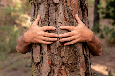 Close-up of hand holding tree trunk in forest