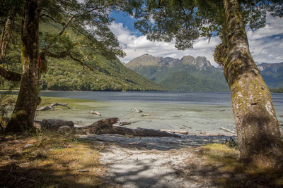 Scenic view of lake and mountains