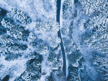 Road on snow covered landscape