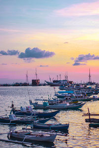 Boats moored in harbor at sunset