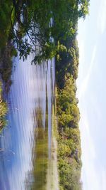 Scenic view of forest against sky