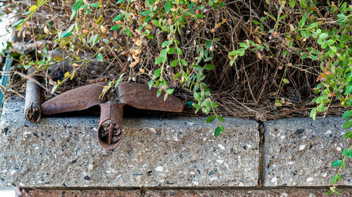 High angle view of rusty metal on wall