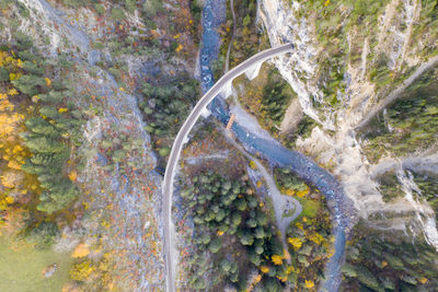 High angle view of road amidst trees