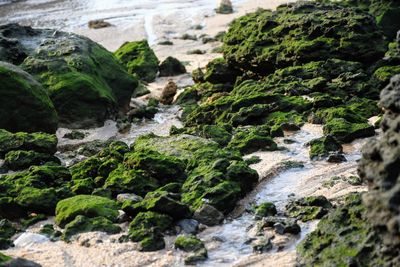 Scenic view of river flowing through rocks