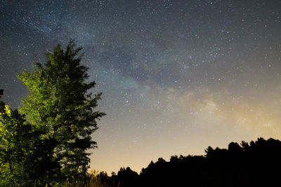 Low angle view of silhouette trees against sky at night