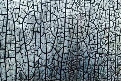 Full frame shot of bare trees during winter