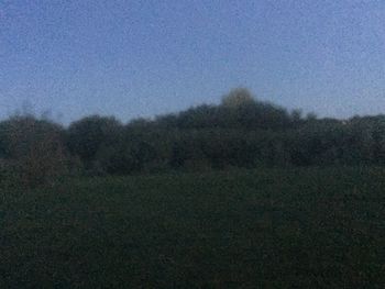 Scenic view of trees on field against clear sky