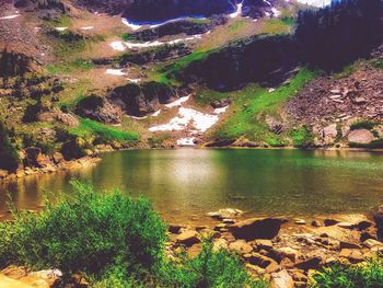 Scenic view of lake in forest