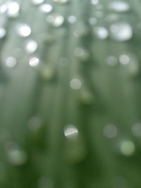 Close-up of defocused image of water